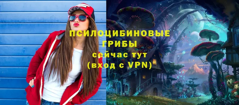 Галлюциногенные грибы Psilocybe  KRAKEN как зайти  Нижняя Тура 